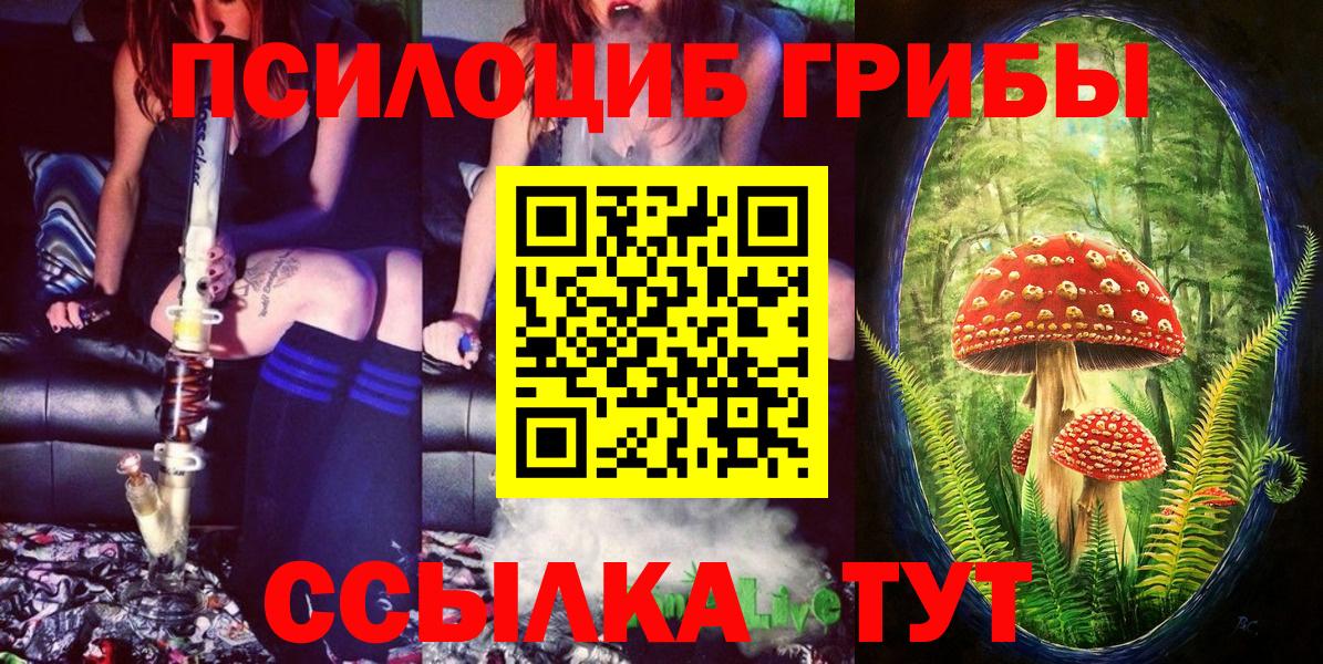 Галлюциногенные грибы MAGIC MUSHROOMS  Вход с VPN  Дивногорск 
