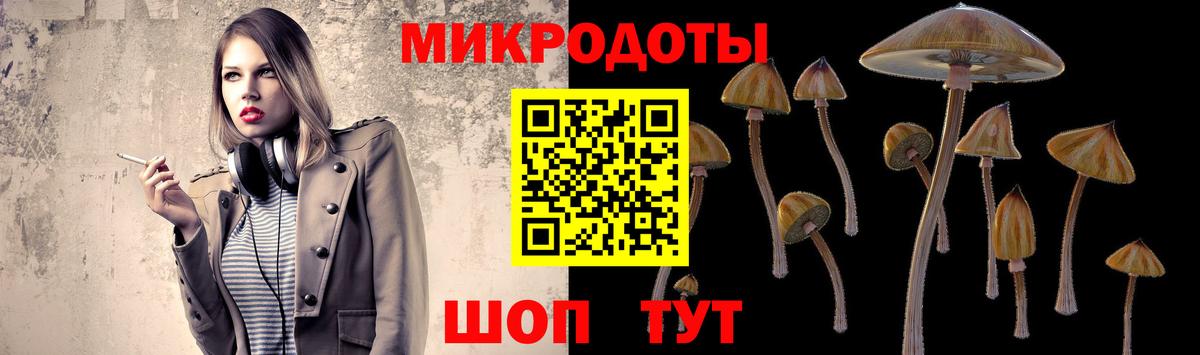 Псилоцибиновые грибы прущие грибы Дивногорск